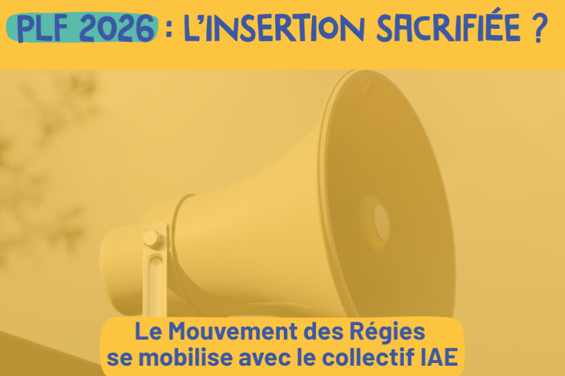 L'insertion sacrifiée ?