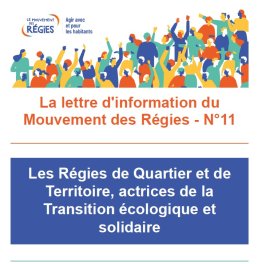 Newsletter n°11