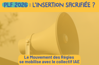 L'insertion sacrifiée ?