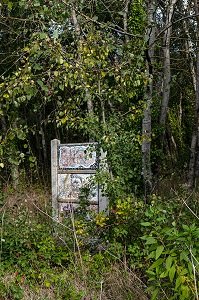 Jardin abandonné