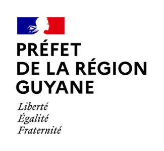 LOGO DREETS GUYANE